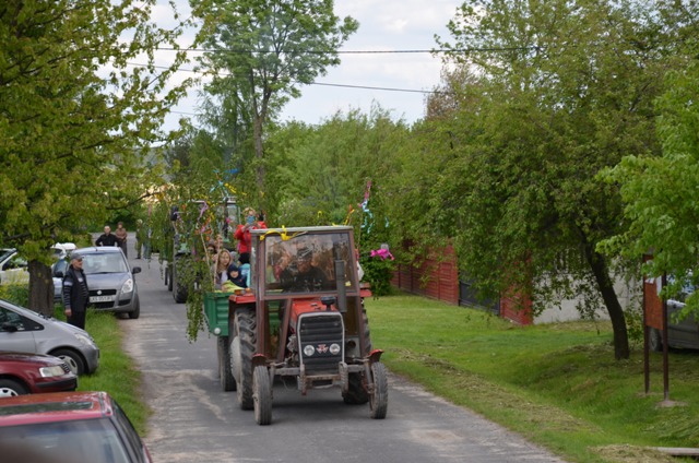 Zielone Świątki 2016 (10)